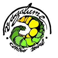 Logo de Vagalume